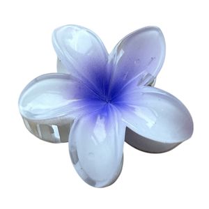 Hovedbilde Fiji H&aring;rklype Blueberry Sorbet